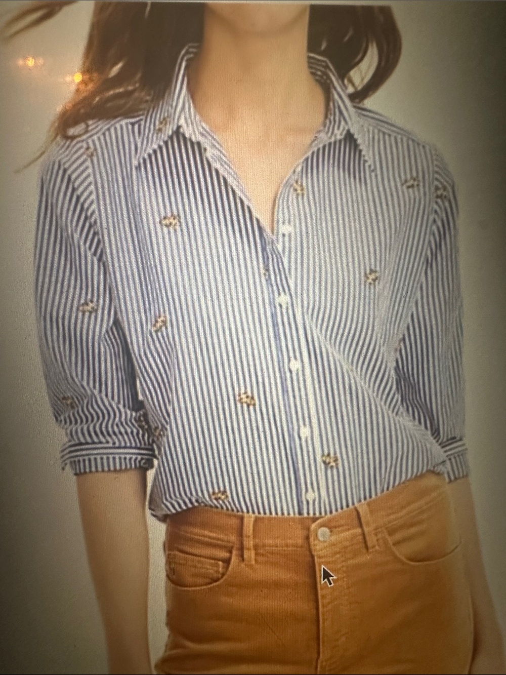 Women’s LOFT Blue Striped Buton Down Shirt with Embroidered Dogs, size Large